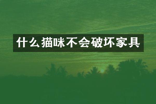 什么猫咪不会破坏家具
