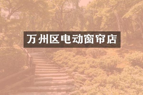 万州区电动窗帘店