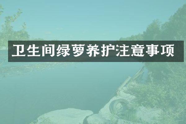 卫生间绿萝养护注意事项