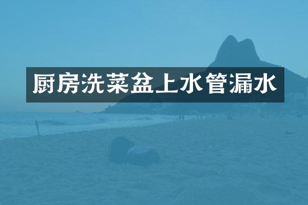 厨房洗菜盆上水管漏水
