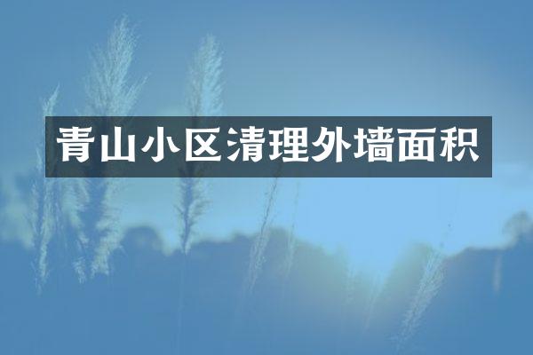 青山小区清理外墙面积