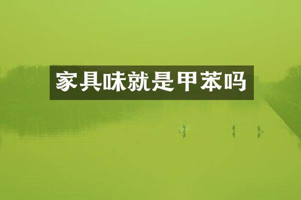 家具味就是吗