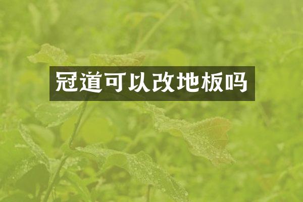 冠道可以改地板吗