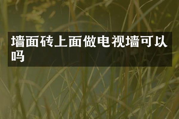 墙面砖上面做电视墙可以吗