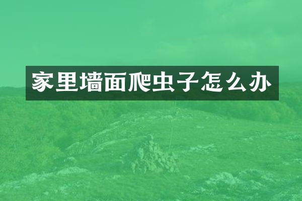 家里墙面爬虫子怎么办