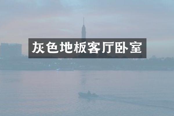 灰色地板客厅卧室