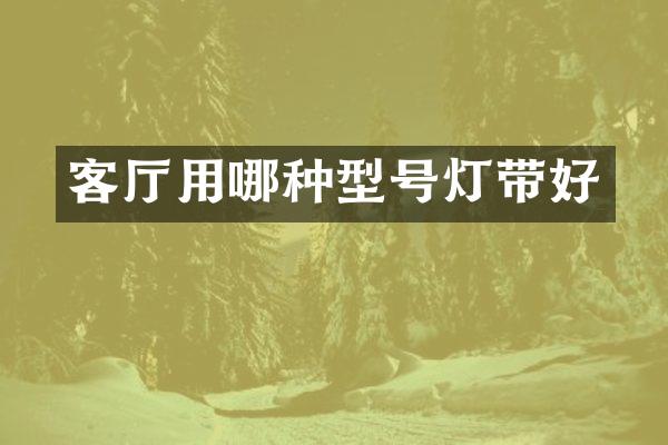 客厅用哪种型号灯带好