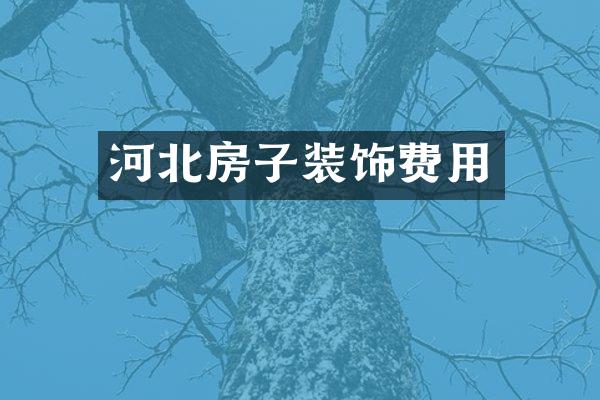 河北房子装饰费用