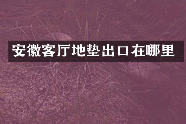 安徽客厅地垫出口在哪里