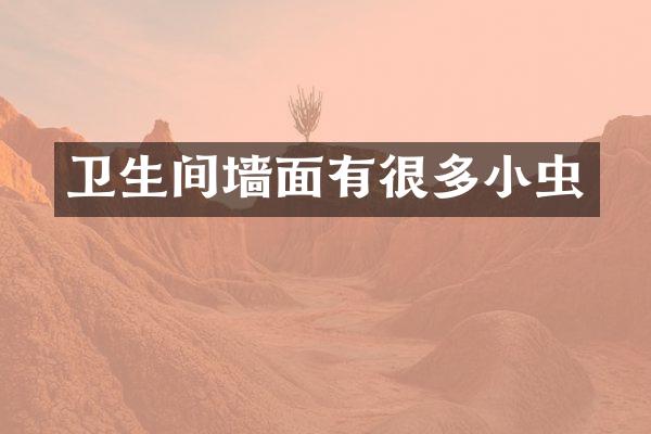 卫生间墙面有很多小虫