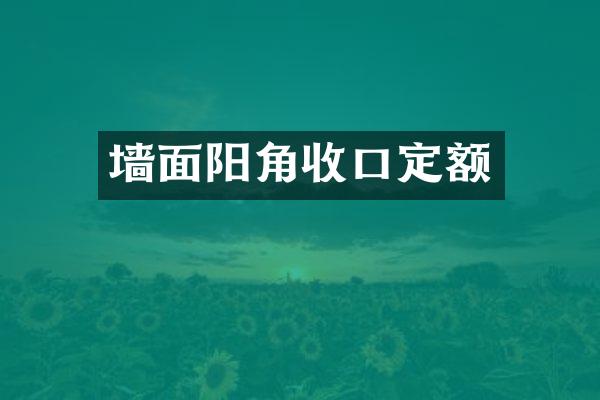 墙面阳角收口定额