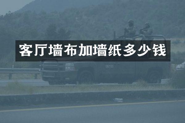 客厅墙布加墙纸多少钱