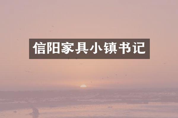信阳家具小镇书记