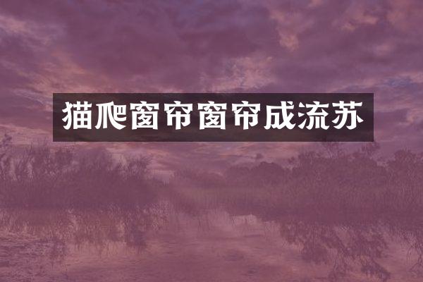 猫爬窗帘窗帘成流苏