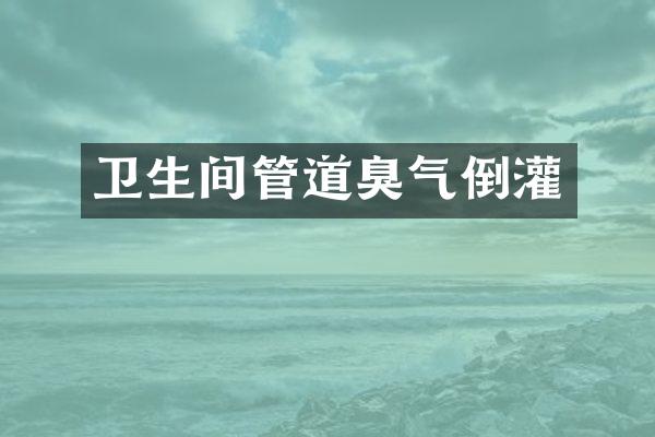 卫生间管道臭气倒灌