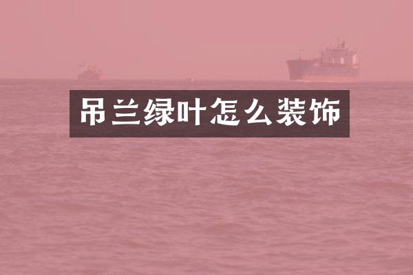 吊兰绿叶怎么装饰