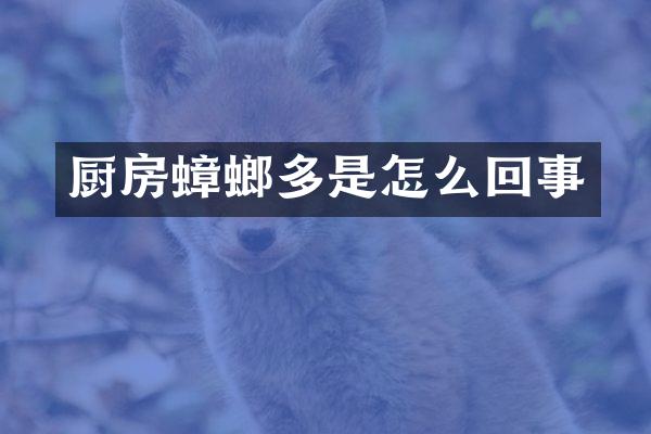 厨房蟑螂多是怎么回事