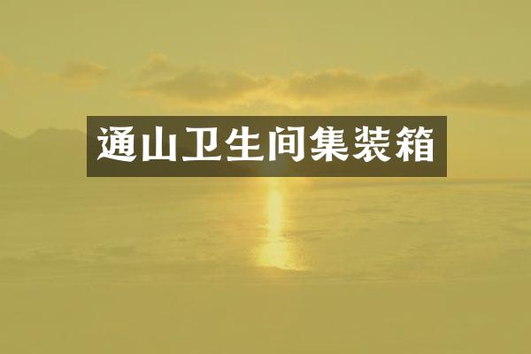 通山卫生间集装箱