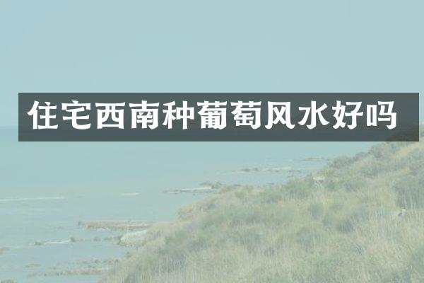 住宅西南种葡萄风水好吗