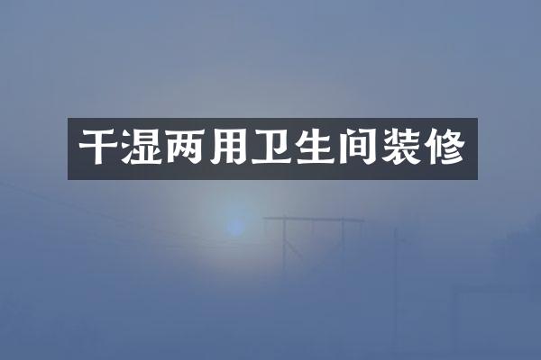 干湿两用卫生间装修