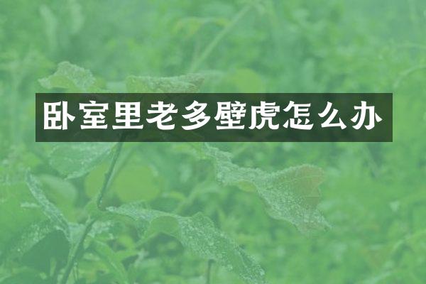 卧室里老多壁虎怎么办