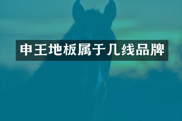申王地板属于几线品牌