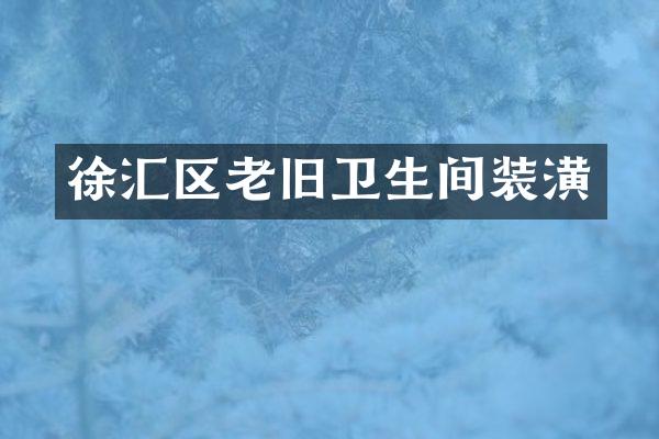 徐汇区老旧卫生间装潢