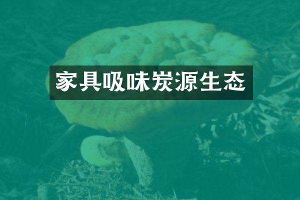 家具吸味炭源生态
