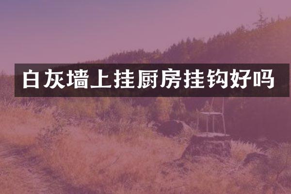 白灰墙上挂厨房挂钩好吗