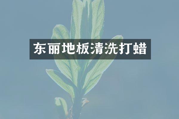 东丽地板清洗打蜡