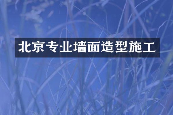北京专业墙面造型施工