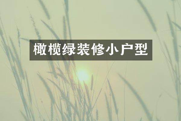橄榄绿装修小户型