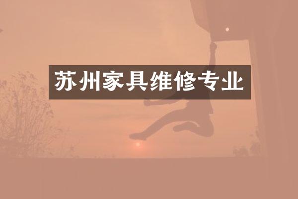 苏州家具维修专业