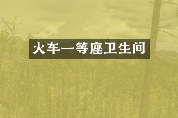 火车一等座卫生间