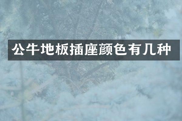 公牛地板插座颜色有几种
