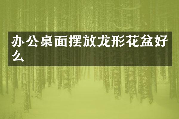 办公桌面摆放龙形花盆好么