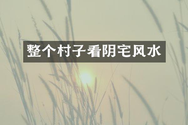 整个村子看阴宅风水
