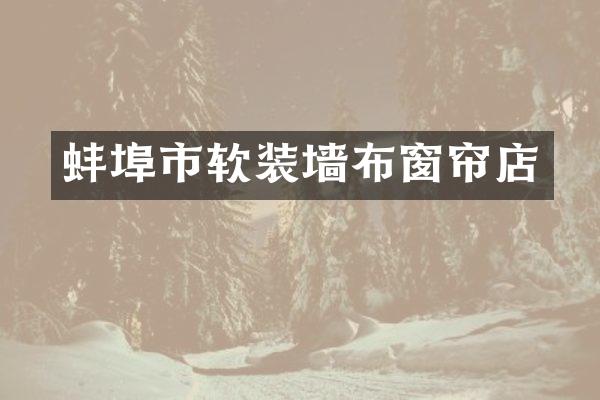 蚌埠市软装墙布窗帘店
