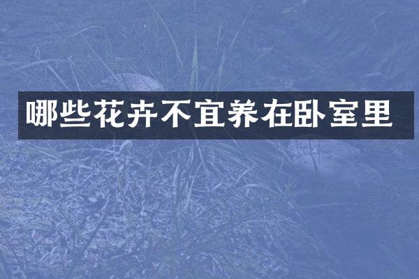 哪些花卉不宜养在卧室里