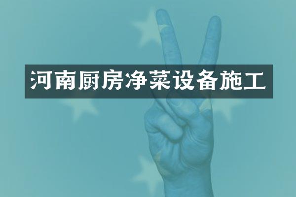 河南厨房净菜设备施工