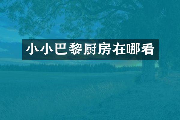 小小巴黎厨房在哪看
