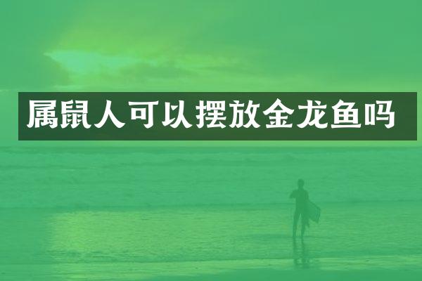 属鼠人可以摆放金龙鱼吗