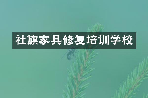社旗家具修复培训学校