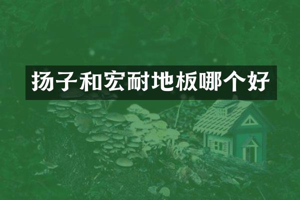 扬子和宏耐地板哪个好