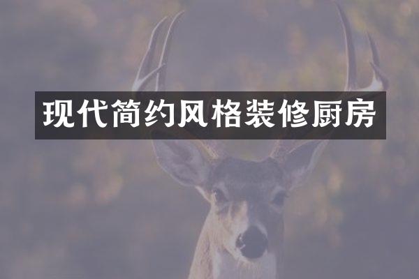 现代简约风格装修厨房