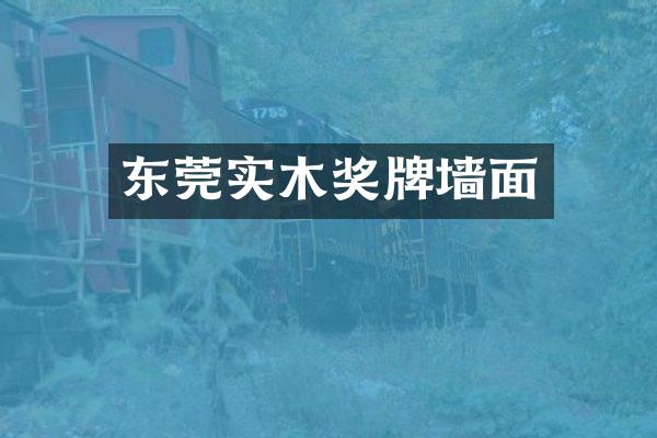 东莞实木奖牌墙面