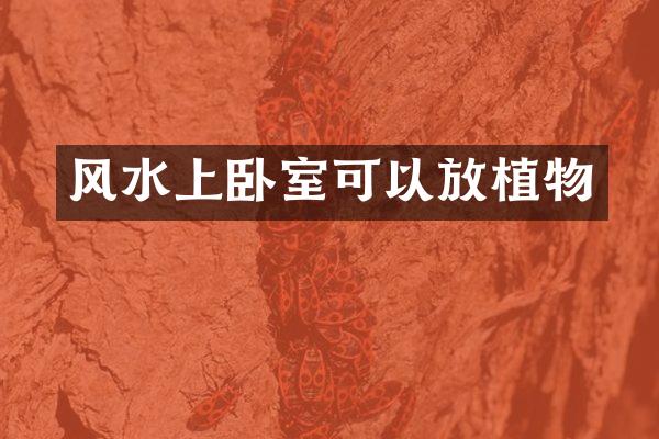 风水上卧室可以放植物