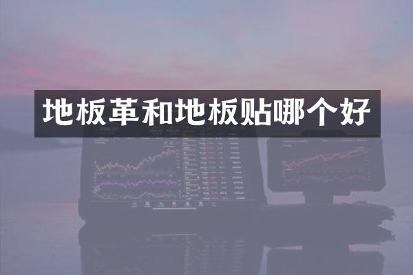 地板革和地板贴哪个好
