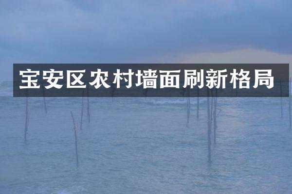 宝安区农村墙面刷新格局
