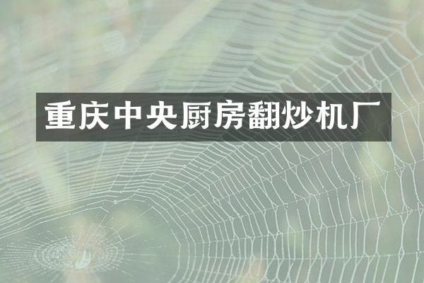 重庆中央厨房翻炒机厂